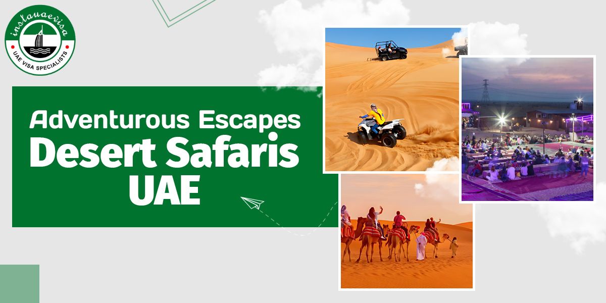 adventurous escapes desert safaris in uae from instauaevisa